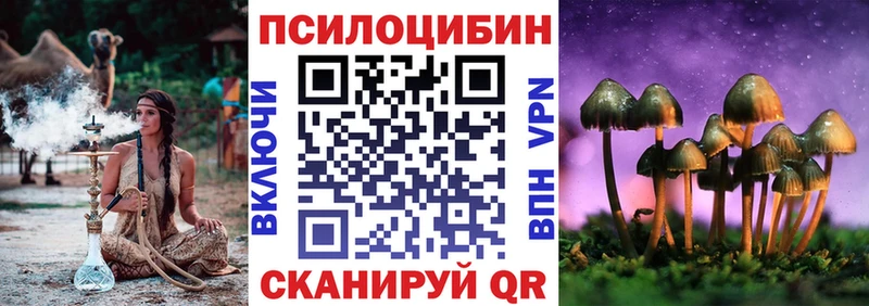 гидра ONION  закладка  Балахна  Псилоцибиновые грибы Psilocybine cubensis 