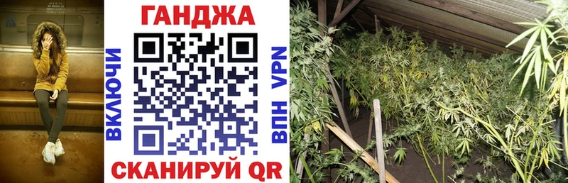купить наркотики сайты  Балахна  Бошки марихуана индика 